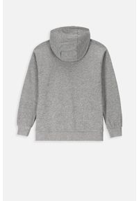 Lemon Explore - Bluza sportowa dziecięcy Lemon Exlopre ZL3 z kapturem. Typ kołnierza: kaptur. Kolor: szary. Materiał: bawełna, wiskoza. Wzór: nadruk