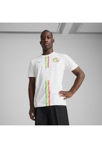 Puma - Męska koszulka domowa Senegal 2025 PUMA White Sport Green. Kolor: biały, zielony, wielokolorowy. Wzór: aplikacja