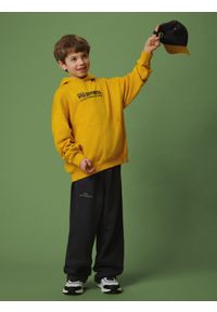 4f - 4F Bluza dresowa loose z kapturem chłopięca - żółta 122/128 (6-8 lat). Okazja: na spacer, na co dzień, na uczelnię. Typ kołnierza: kaptur. Kolor: żółty. Materiał: dresówka. Długość: długie. Sezon: lato. Styl: casual #2