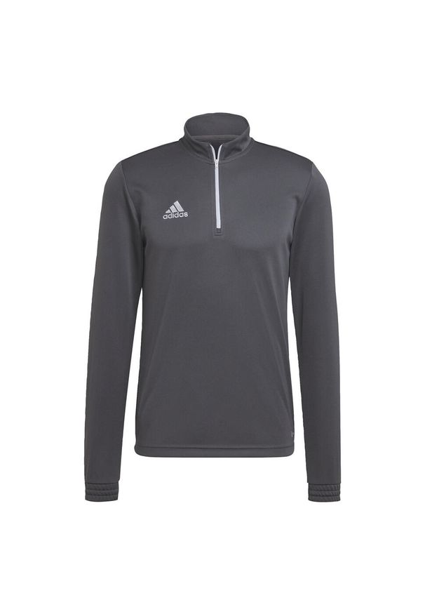 Bluza piłkarska męska Adidas Entrada 22 Training Top. Kolor: szary. Sport: piłka nożna