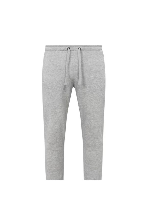 Stedman - Spodnie Do Biegania Dla Dorosłych Unisex Heather Plain Recycled. Kolor: szary