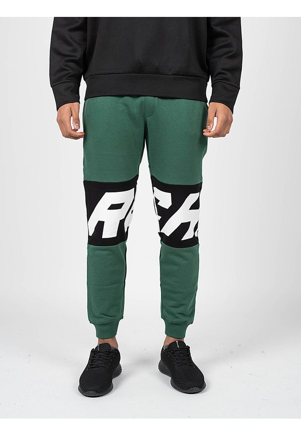John Richmond - Richmond Sport Spodnie | UMA22088PA | Mężczyzna | Zielony. Okazja: na co dzień. Kolor: zielony. Materiał: bawełna, poliester. Wzór: nadruk, aplikacja. Styl: sportowy