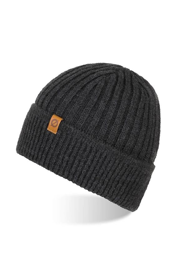 BRODRENE - Czapka zimowa męska beanie Brodrene cz12 c.szara. Kolor: szary. Materiał: materiał. Sezon: zima