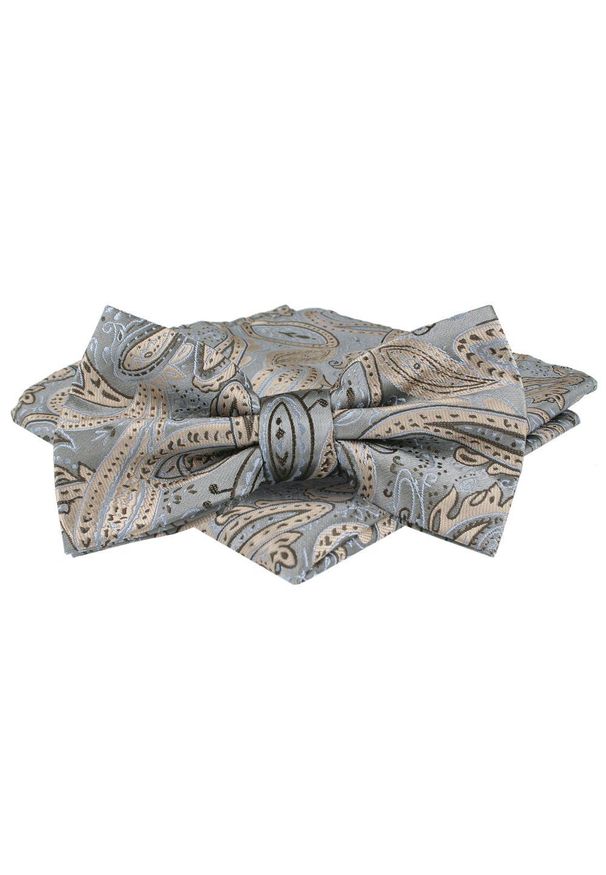 Mucha Męska w Zestawie z Poszetką - Alties - Popiel, Jasne Paisley. Wzór: paisley. Styl: elegancki, sportowy