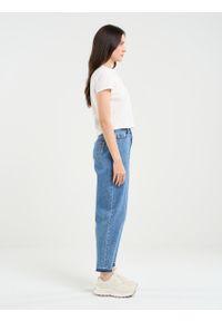 Big-Star - Jeansy damskie mom jeans marmurkowe niebieskie Ria 244. Kolor: niebieski. Styl: retro, vintage, elegancki