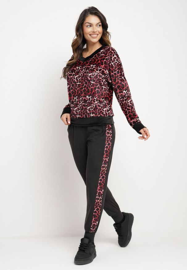 Born2be - Czerwono-Czarny Welurowy Komplet Dresowy w Panterkę Bluza i Spodnie z Lampasami Avathirae. Kolor: czerwony. Materiał: dresówka, welur. Wzór: motyw zwierzęcy
