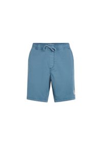 Szorty O'Neill O'riginals Walk. Kolor: niebieski. Długość: krótkie. Sezon: lato #1