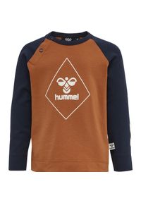 Koszulka z długim rękawem dla chłopca Hummel Ceasar. Kolor: brązowy. Długość rękawa: długi rękaw. Długość: długie #1