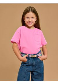 Sinsay - Koszulka z krótkim rękawem - różowy. Kolor: różowy. Długość rękawa: krótki rękaw. Długość: krótkie #1