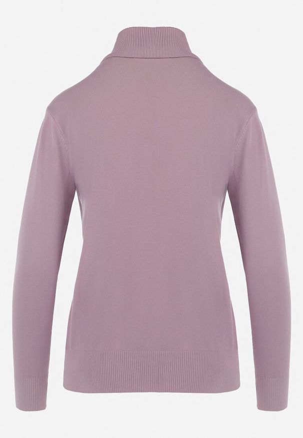 Born2be - Różowy Sweter z Golfem Sazerna w Składzie Wiskoza i Modal. Typ kołnierza: golf. Kolor: różowy. Materiał: wiskoza. Długość rękawa: długi rękaw. Długość: długie. Wzór: gładki. Sezon: jesień, zima