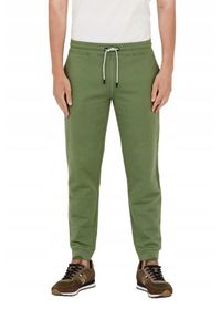 Aeronautica Militare - AERONAUTICA MILITARE Spodnie zielone męskie. Kolor: zielony. Materiał: bawełna. Wzór: haft #4