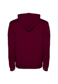 ROLY - Męska Bluza Z Kapturem Urban. Typ kołnierza: kaptur. Kolor: czerwony, wielokolorowy, szary