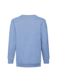 FRUIT OF THE LOOM - Bluza Dziecięca Classic Setin. Kolor: niebieski