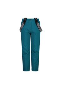 Spodnie dla dzieci CMP Vortex. Kolor: zielony. Sezon: zima. Sport: narciarstwo #1