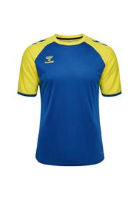 Koszulka dla dzieci Hummel League. Kolor: niebieski. Sport: piłka nożna #1