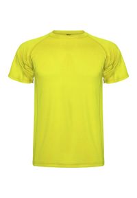 ROLY - Męska Koszulka Sportowa Montecarlo Z Krótkim Rękawem. Kolor: żółty. Długość rękawa: krótki rękaw. Długość: krótkie. Sport: turystyka piesza