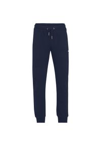 Fila - Męskie Spodnie Dresowe Braives. Kolor: niebieski. Materiał: dresówka