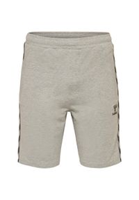Szorty dla dzieci Hummel Classic Move. Okazja: na co dzień. Kolor: szary. Styl: sportowy, elegancki, casual