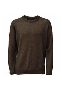 WEFT - Wełniany sweter outdoorowy męski Possum Merino Cambridge Crewneck. Kolor: brązowy. Materiał: wełna