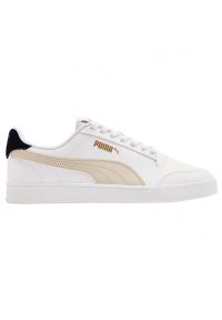 Buty Puma Shuffle M 309668 28 białe. Okazja: na co dzień. Kolor: biały. Materiał: materiał