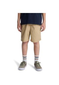 Quiksilver - Spodenki z elastyczną talią dla Chłopcy TAXER YOUTH 15". Kolor: beżowy. Materiał: bawełna, elastan, materiał. Długość: krótkie. Sezon: lato