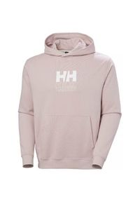 Bluza sportowa męska Helly Hansen Core Graphic Sweat. Typ kołnierza: kaptur. Kolor: wielokolorowy