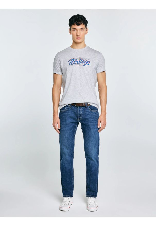 Big-Star - Koszulka męska z nadrukiem szara Keren 902. Kolor: szary. Materiał: bawełna. Wzór: nadruk