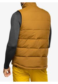Kamizelka ocieplana męska Carhartt Loose Fit Montana Insulated Vest. Kolor: brązowy