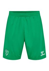 Hummel - Szorty domowe dla dzieci 22/23. Okazja: do domu. Kolor: zielony. Styl: młodzieżowy, sportowy