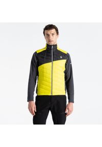 DARE 2B - Kamizelka turystyczna męska Touring. Kolor: żółty. Materiał: puch. Długość: długie. Sport: turystyka piesza #1