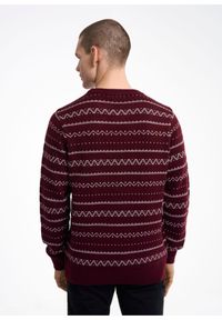 Ochnik - Sweter męski. Okazja: na co dzień. Materiał: akryl. Długość: długie. Styl: casual #3