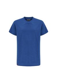 Koszulka dla dzieci Hummel Red Basic. Kolor: niebieski. Materiał: bawełna. Długość rękawa: krótki rękaw. Długość: krótkie. Sport: piłka ręczna #1