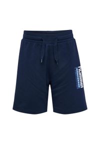Szorty dla dzieci Hummel Tukas. Okazja: na uczelnię. Kolor: niebieski. Styl: sportowy. Sport: joga i pilates