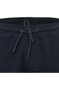 Męskie Spodnie Dresowe - Pako Jeans - Granatowe. Kolor: niebieski. Materiał: bawełna