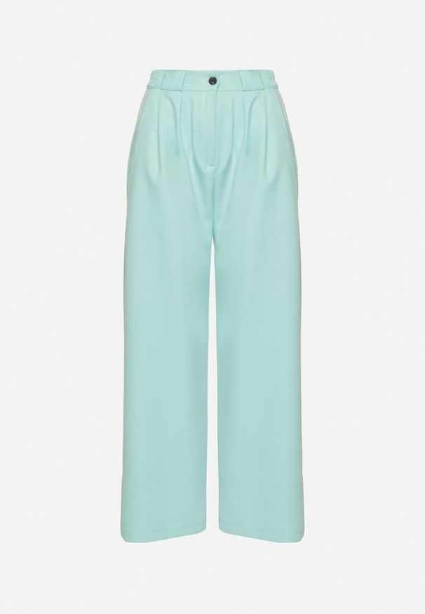 Born2be - Jasnozielone Spodnie Garniturowe o Szerokim Kroju z Zakładkami i Wysokim Stanem Ulianeria. Okazja: na co dzień, do pracy, na spotkanie biznesowe. Stan: podwyższony. Kolor: zielony. Styl: klasyczny, casual, biznesowy