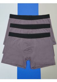 Sinsay - Bokserki Classic 3 pack - wielobarwny. Materiał: bawełna, guma, elastan