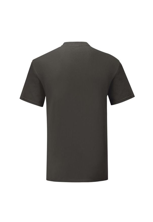 FRUIT OF THE LOOM - Kultowa Koszulka Unisex Dla Dorosłych. Kolor: szary. Sport: turystyka piesza