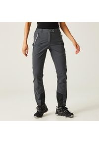 Regatta - Damskie spodnie trekkingowe Mountain III. Kolor: szary. Sezon: lato. Sport: turystyka piesza #1