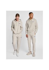 Bluza z kapturem Hummel LGC Austin. Typ kołnierza: kaptur. Kolor: szary, niebieski, wielokolorowy. Materiał: tkanina. Sport: fitness #1