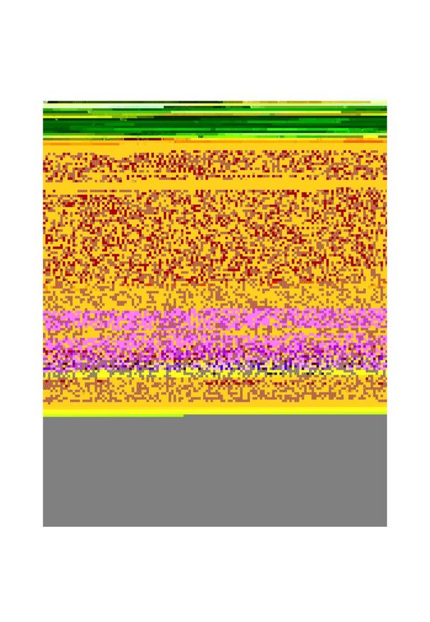 Roxy - Bluza na zamek dla Dziewczynki MIDNIGHT HIKE BRUSHED Zielony. Okazja: na co dzień. Typ kołnierza: kaptur. Kolor: zielony. Materiał: poliester, bawełna, tkanina. Sezon: lato. Styl: casual