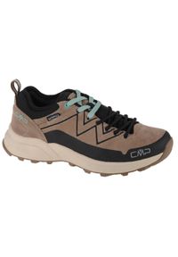 Buty trekkingowe damskie, CMP Kaleepso Low Hiking. Kolor: brązowy