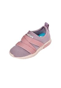 Native Shoes - Buty miejskie dziecięce NATIVE PHOENIX SUGARLITE YOUTH. Okazja: na co dzień. Kolor: fioletowy