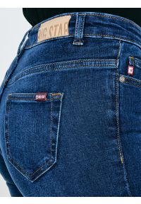Big-Star - Jeansy damskie skinny niebieskie Adela 358. Kolor: niebieski. Styl: klasyczny