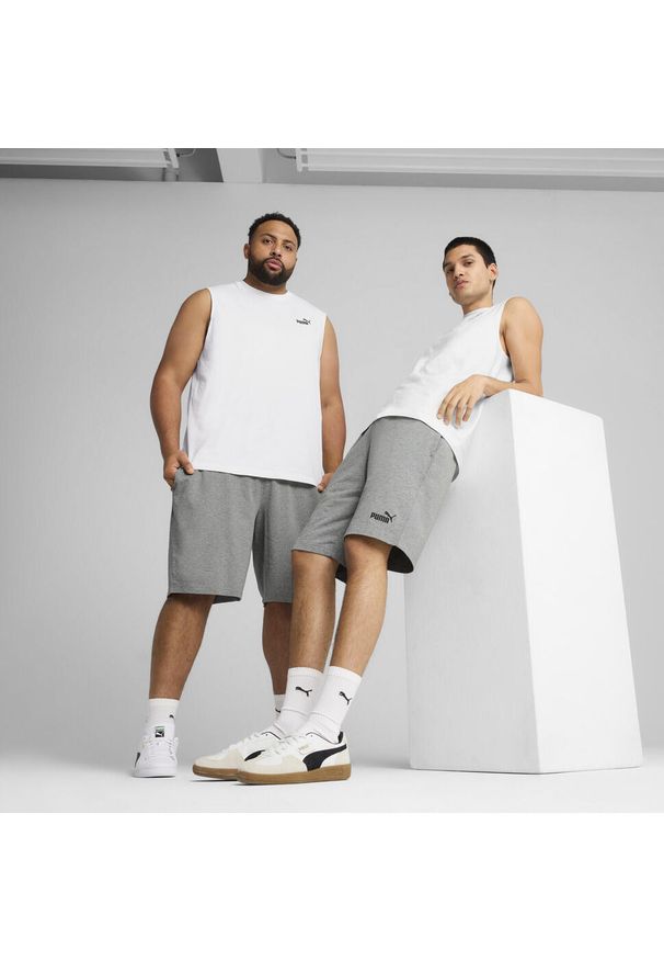 Puma - Męskie szorty Essentials 10" z logo No. 1 z dżerseju PUMA. Kolor: szary. Materiał: jersey. Sport: fitness