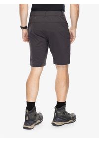 Spodenki turystyczne męskie Helly Hansen Elv Light Tur Shorts. Kolor: szary