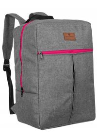Plecak podróżny szary Peterson [DH] PTN PP-GRAY-PINK. Kolor: szary. Styl: klasyczny, sportowy #1