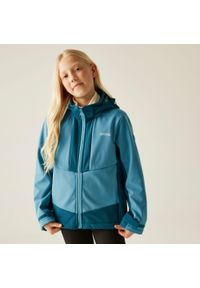 Regatta - Kurtka dziecięca softshell wodoodporny Haydenbury. Kolor: niebieski. Materiał: softshell. Styl: sportowy #1