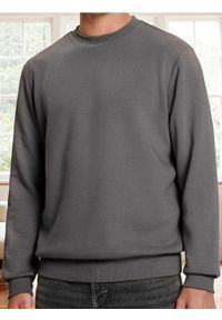 Sinsay - Bluza z długim rękawem - szary. Kolor: szary. Długość rękawa: długi rękaw. Długość: długie