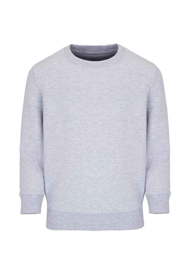 SOL'S - Bluza Dziecięca Columbia. Kolor: szary