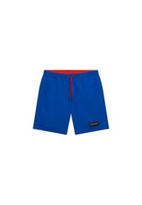 Szorty Napapijri Iaato. Kolor: niebieski. Sezon: lato #1